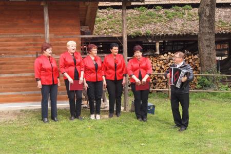 Posaditev trte Gaberke 